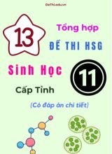 Tổng hợp 13 đề thi HSG Sinh học Lớp 11 cấp Tỉnh (Có đáp án chi tiết)